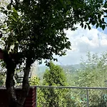 Irie Villas - Thhpsociety - Mukteshwar - Best For Groups And Family