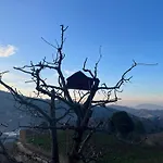 Saanidhya Homestay