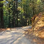 Ojaswi Himalayan Resort