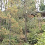 Whispering Heights