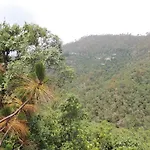 Whispering Heights