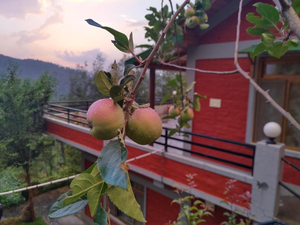Oak Essence Mukteshwar