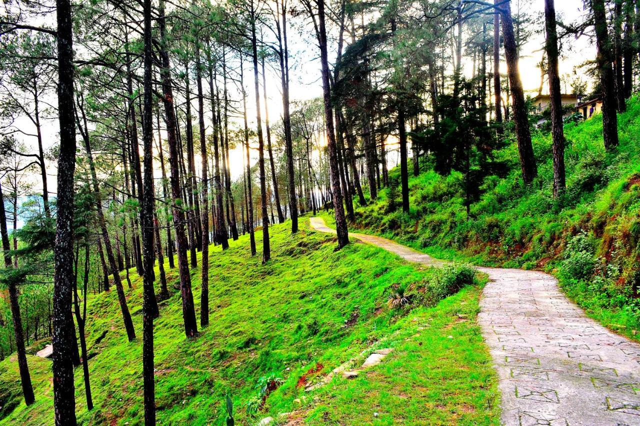 Captains Paradise At Hill Station * Mukteshwar