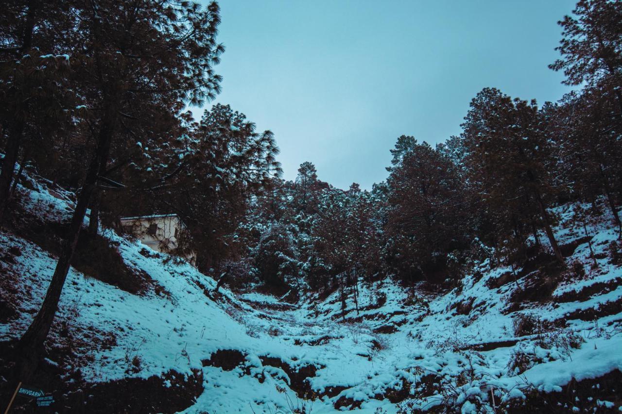 Thehimalayanliving Whistling Pines 4* Mukteshwar
