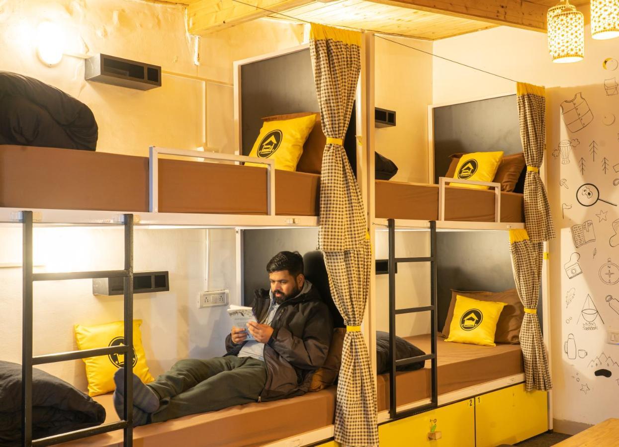 Hostel Lushtree Backpackers - & Cafe *