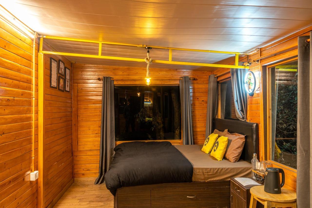 Hostel Lushtree Backpackers - & Cafe *
