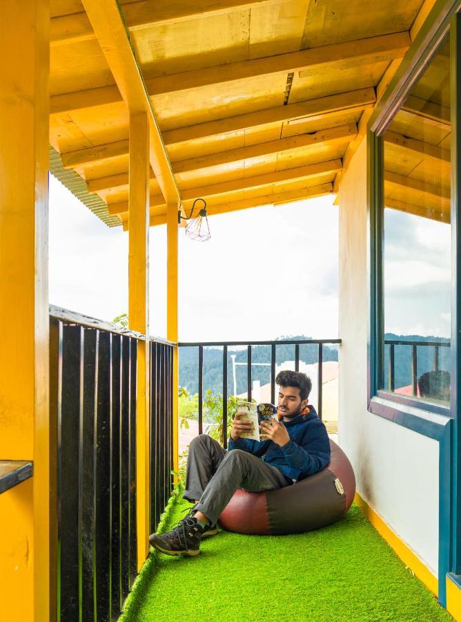 Lushtree Backpackers - & Cafe Hostel