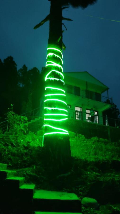 Homestay The Plum *