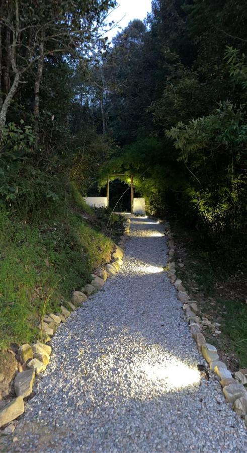 Luxury tent Glamping By The Hulya - Mukteshwar *