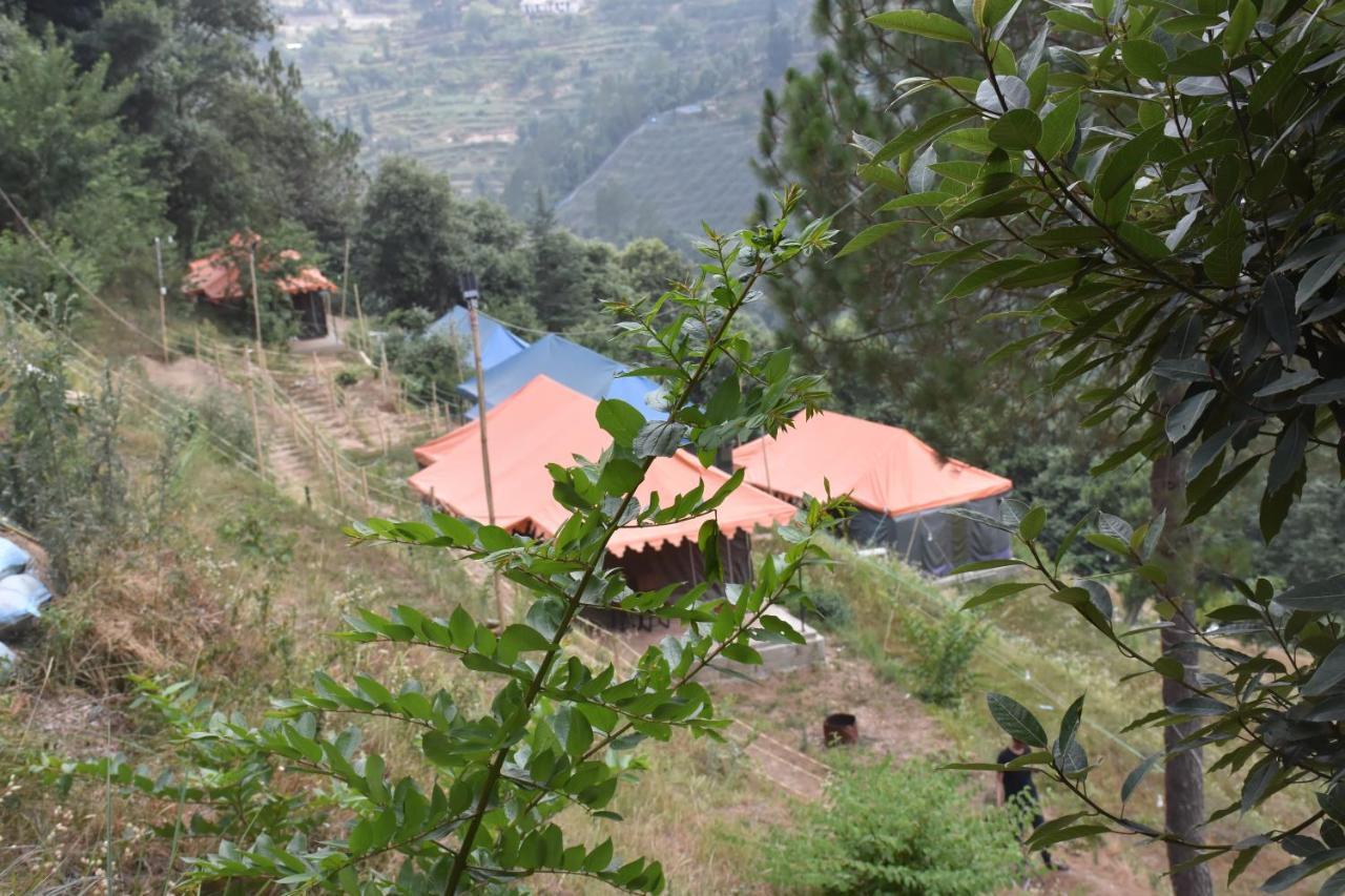 Forest Acres Camps * Mukteshwar