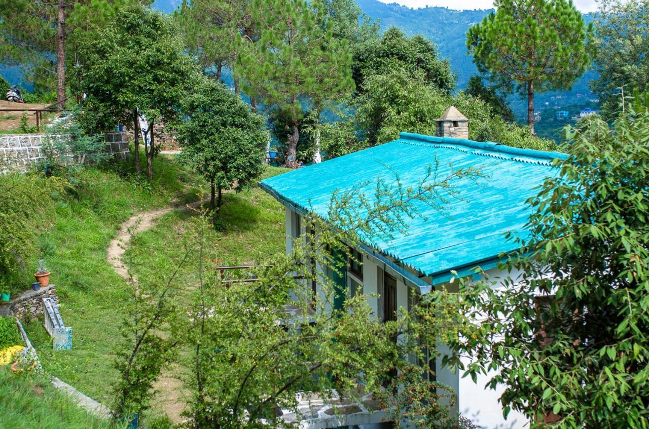 Resort Happy Dervish