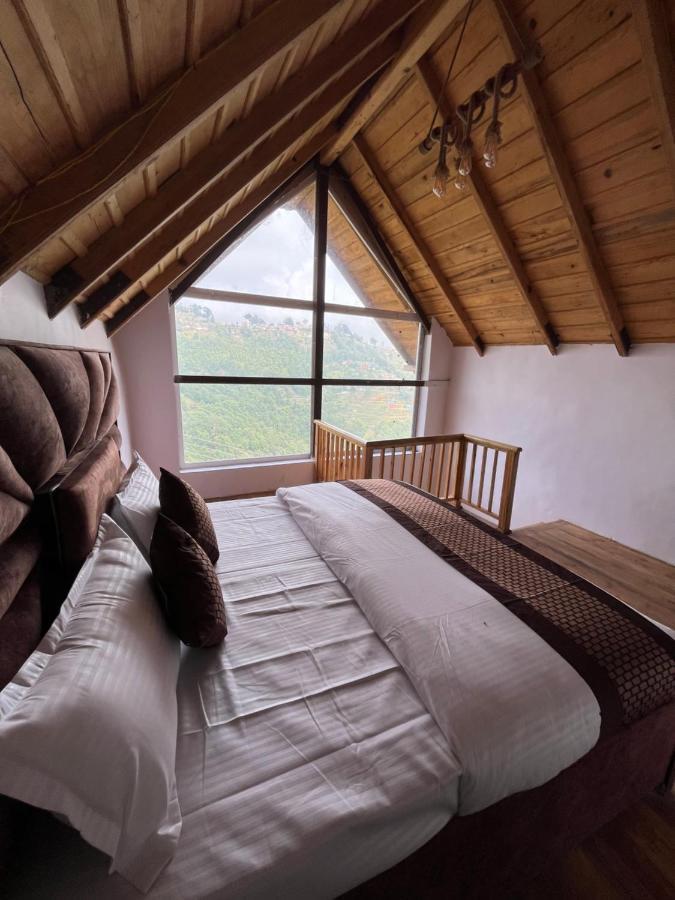 Hotel The Fig 4*