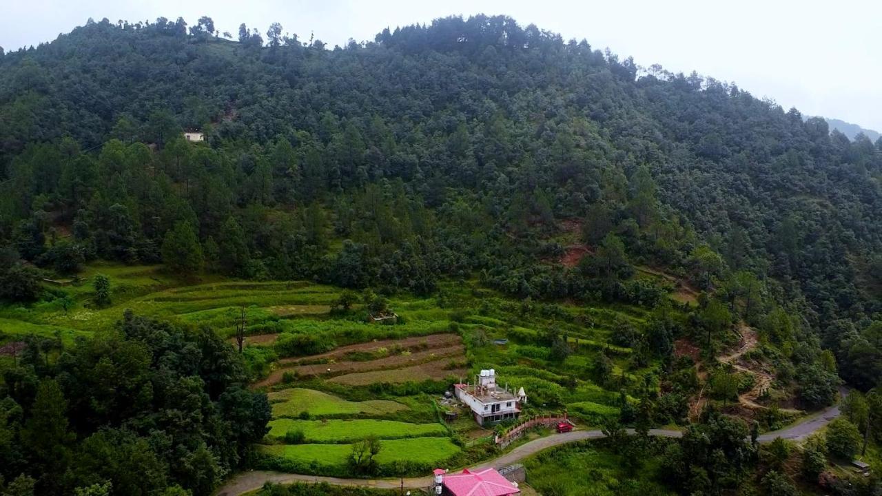 Tatva Vedea Homestay, * Mukteshwar