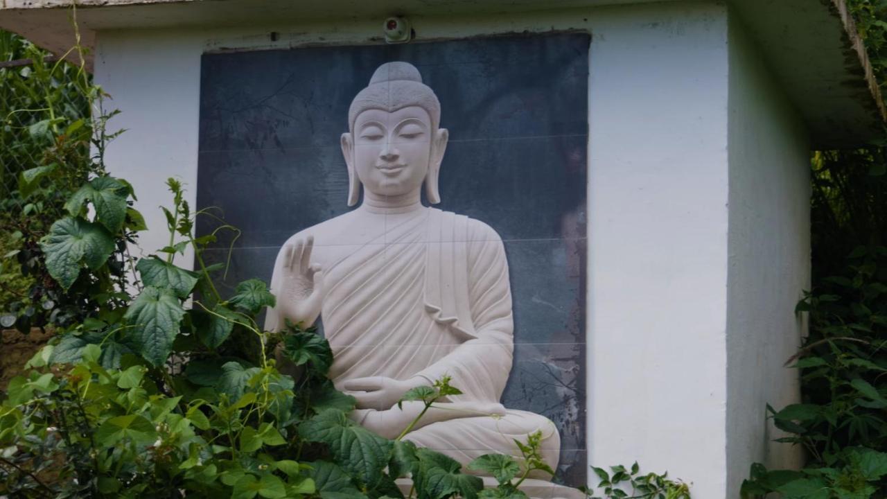 Tatva Vedea Homestay,