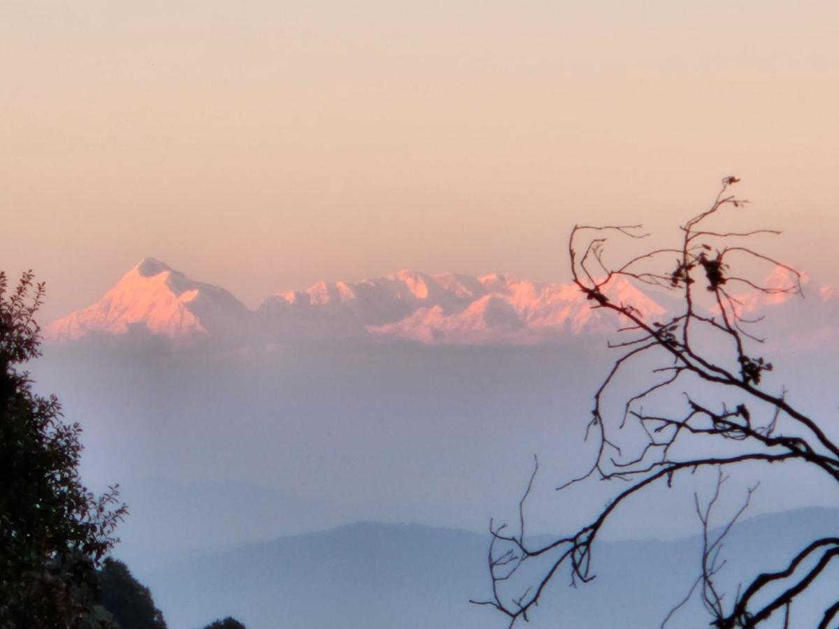Homestay Mountain Golden Ray