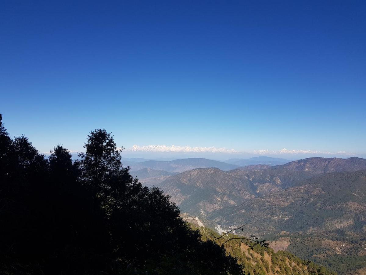 Homestay Mountain Golden Ray