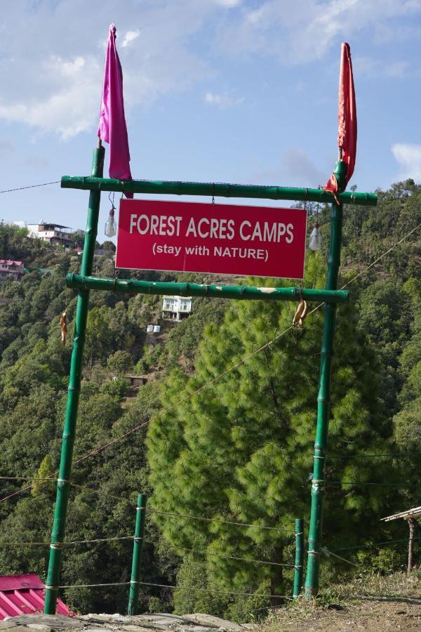 Forest Acres Camps Luxury tent *