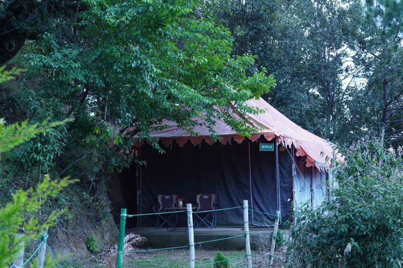 Luxury tent Forest Acres Camps *