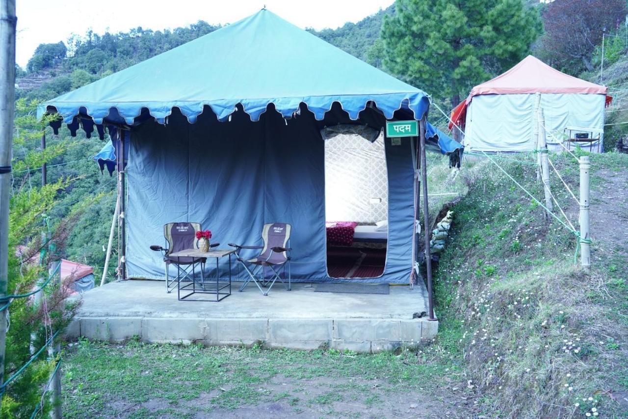 Luxury tent Forest Acres Camps *