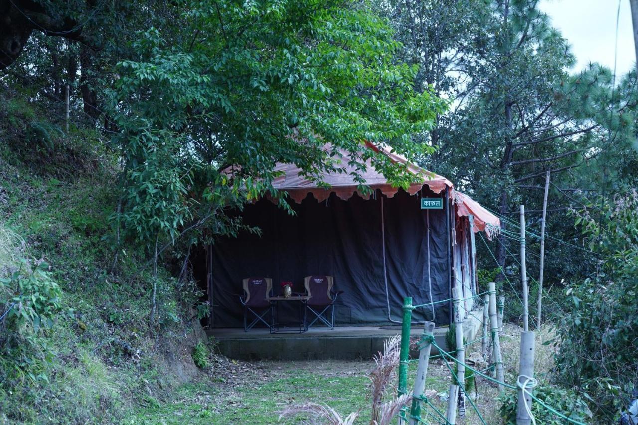 Forest Acres Camps Luxury tent *