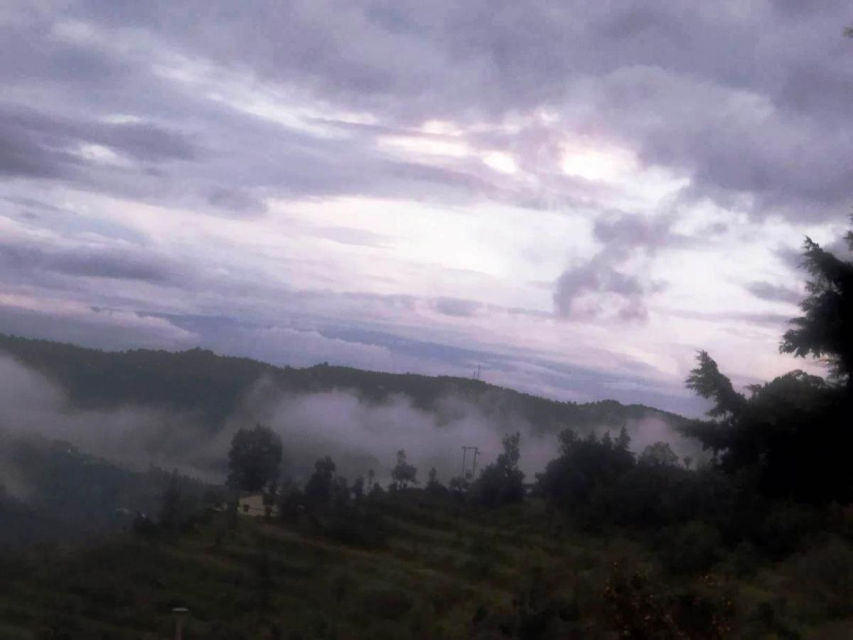 Homestay Infinity Hill Village *