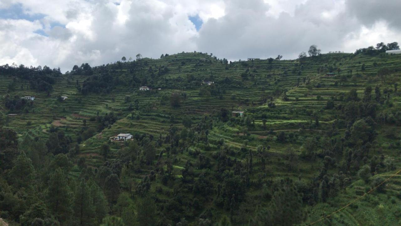 The Plum Mukteshwar