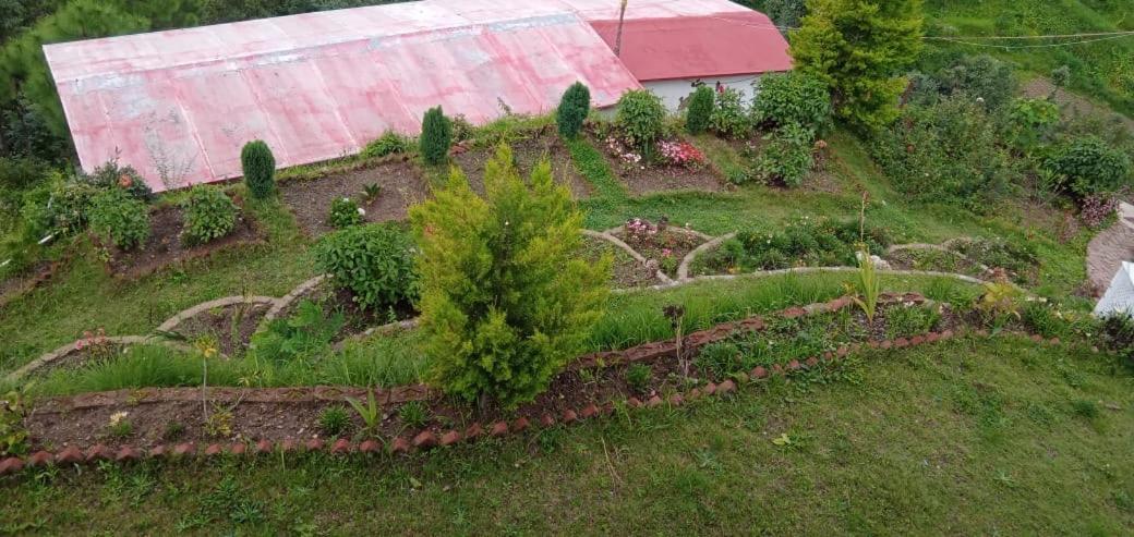 The Plum Homestay Mukteshwar