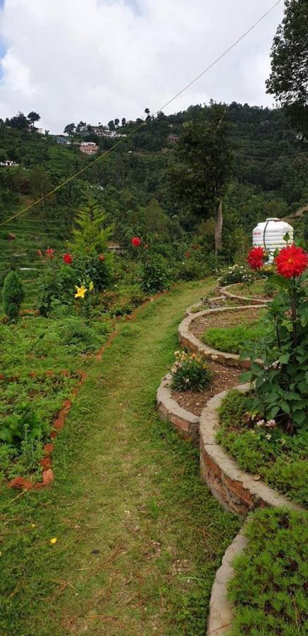 The Plum Homestay