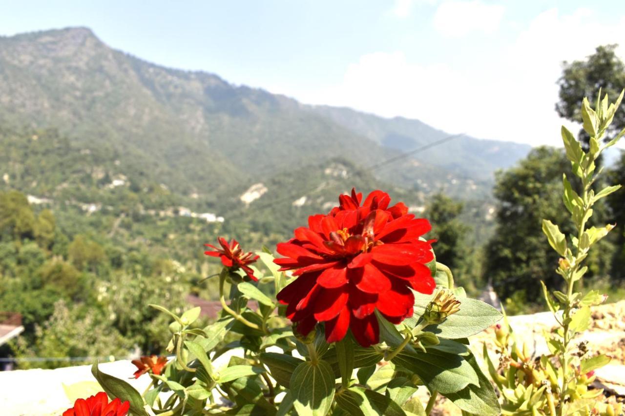 Captains Paradise At Hill Station Homestay Mukteshwar