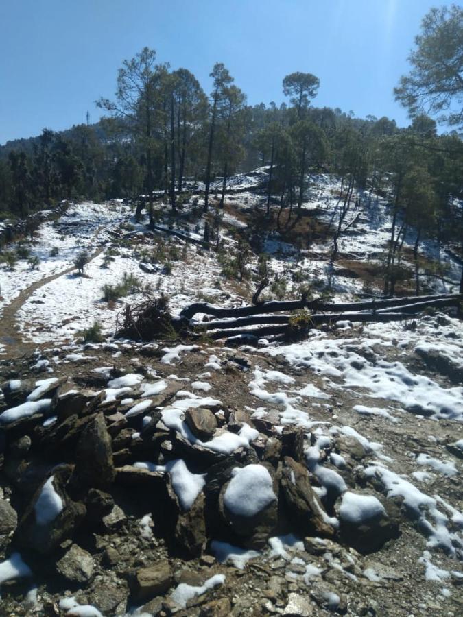 Cleverhills Holiday home Mukteshwar