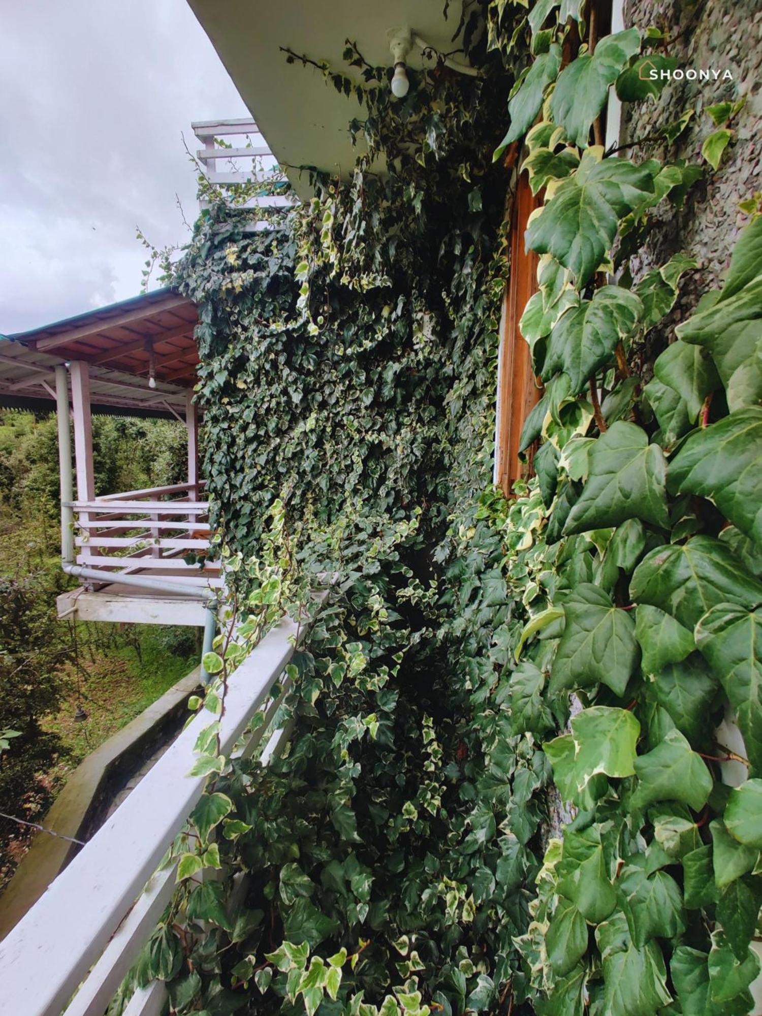 Shoonya Resort *