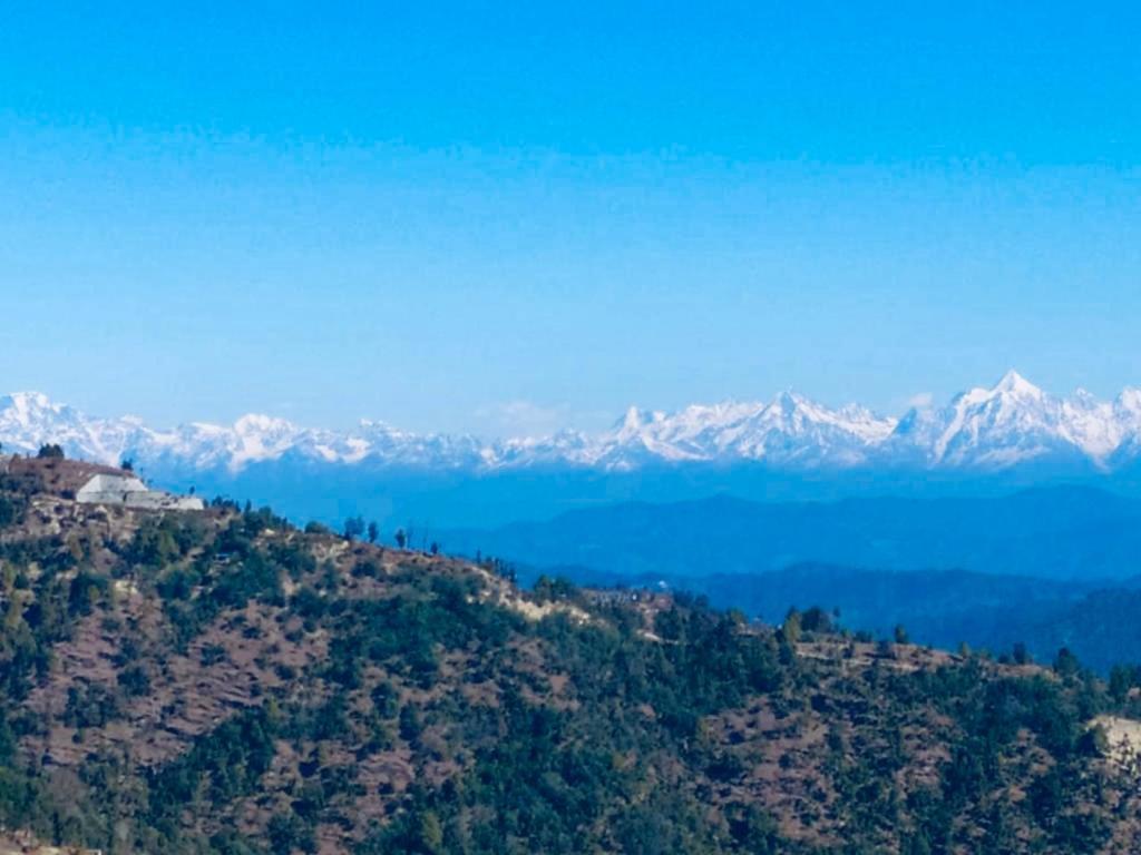 Homestay Wanderlust