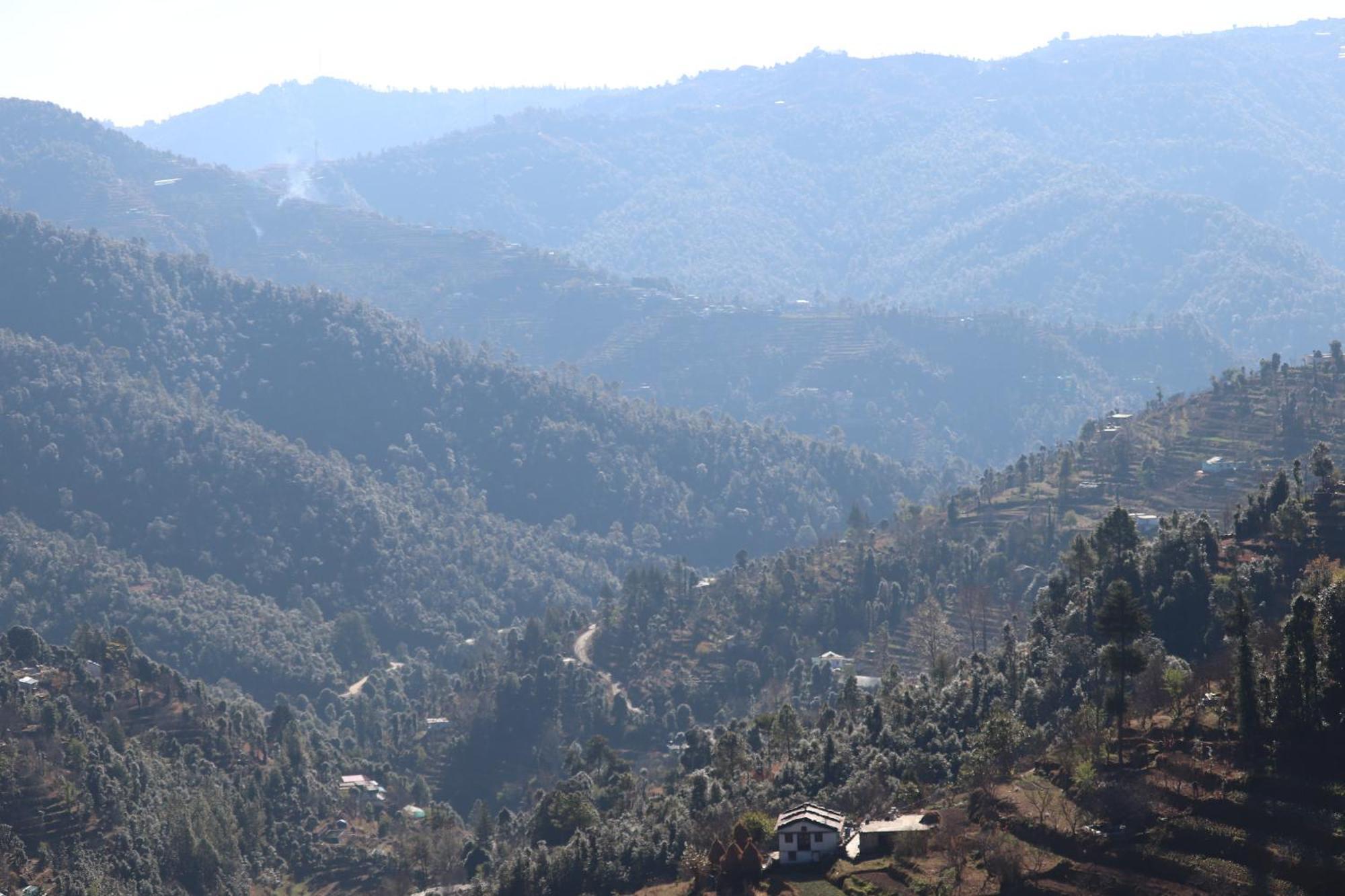 Bunk Chamber Hostel Mukteshwar