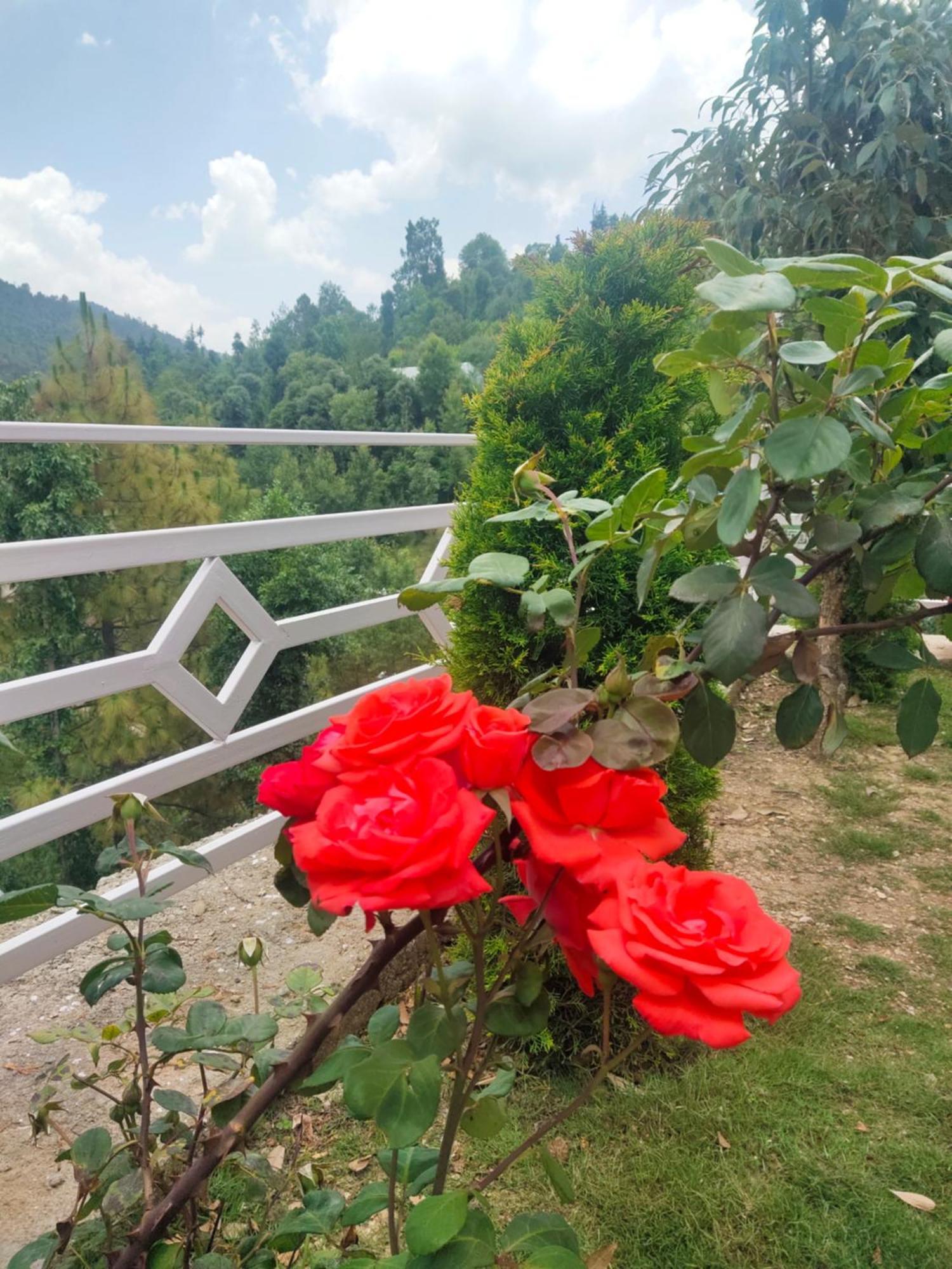 Aranya Resort