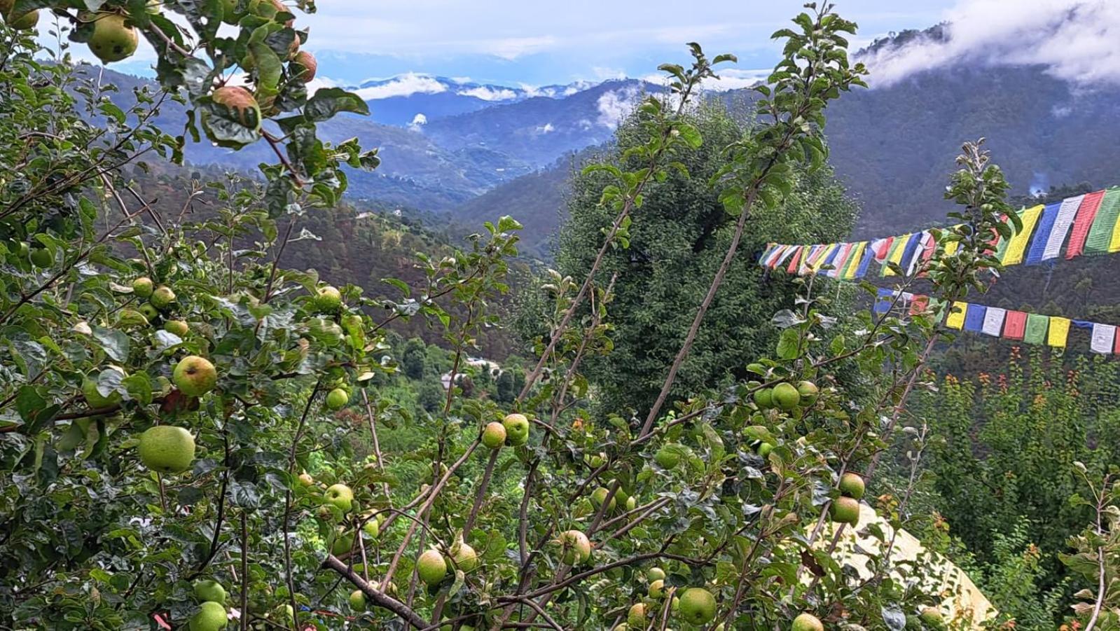 The Pahadi Nest Hotel Mukteshwar