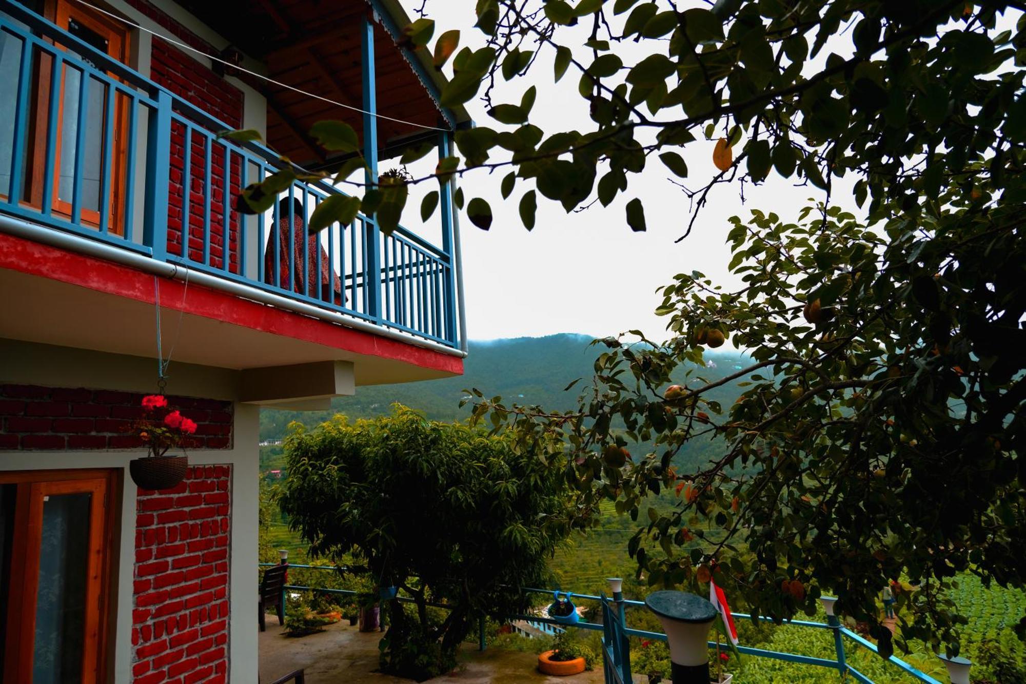 Saanidhya *