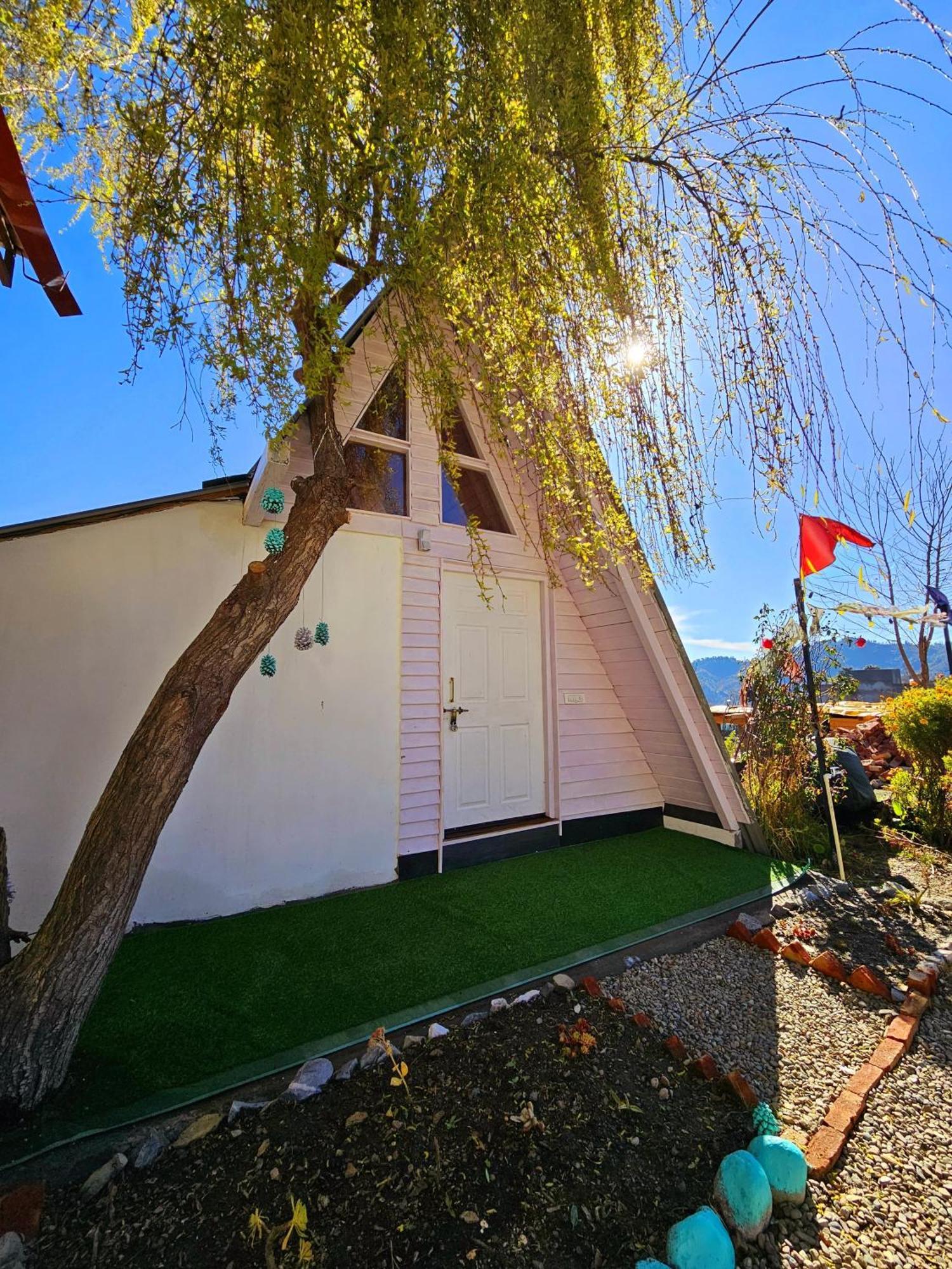 Lushtree Backpackers - & Cafe Hostel