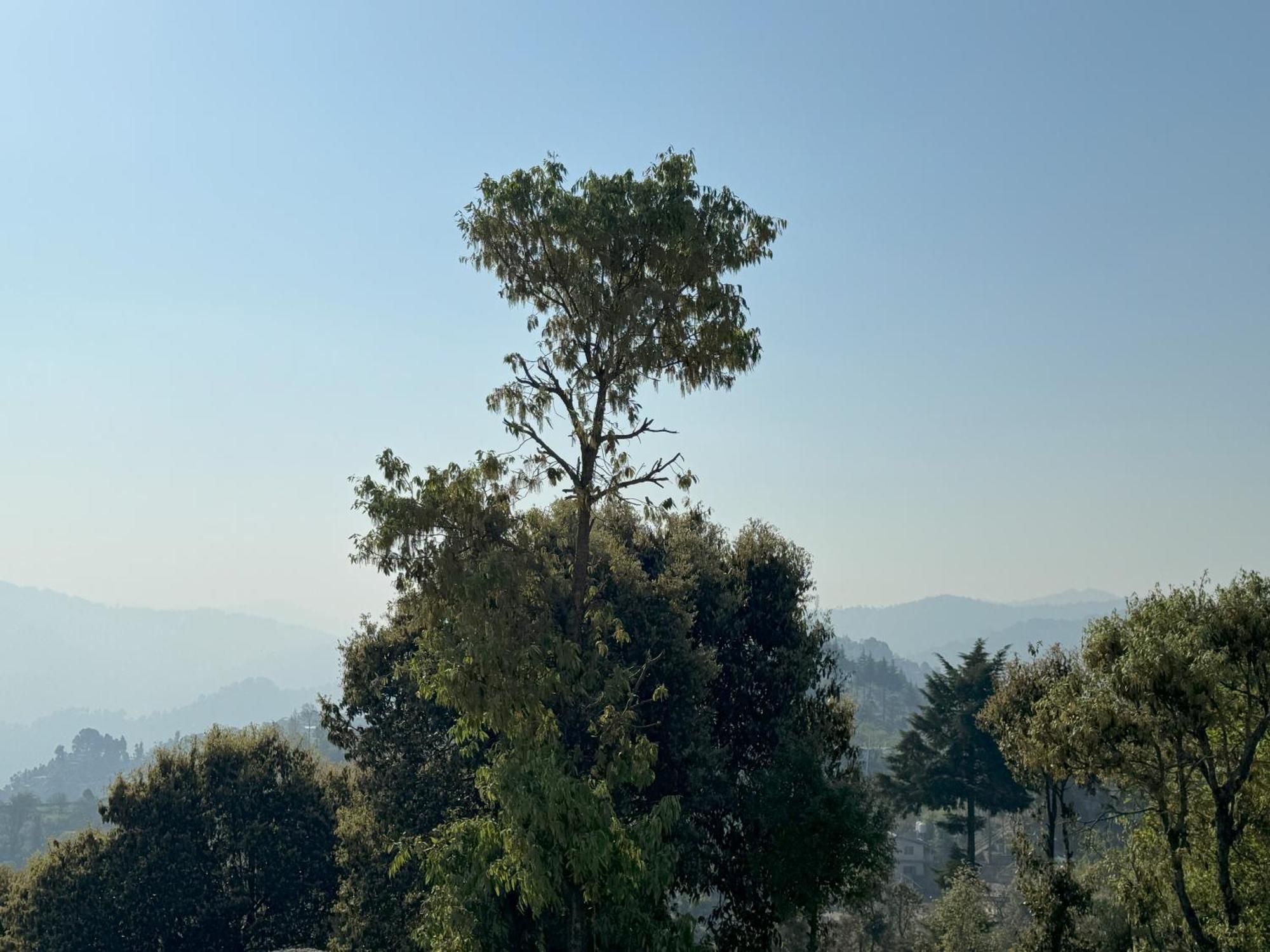 Homestay Wanderlust