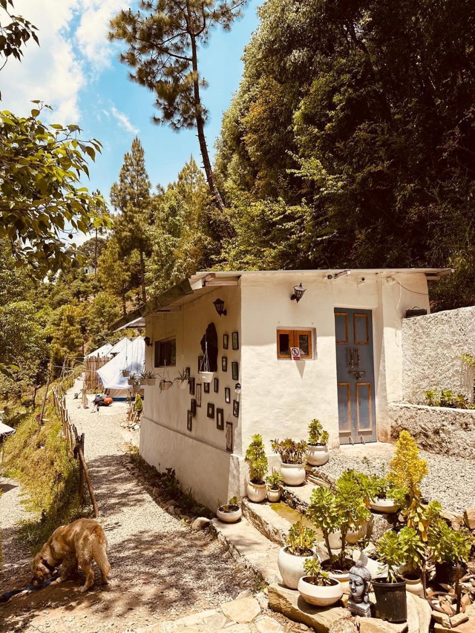 Glamping By The Hulya Farm stay *