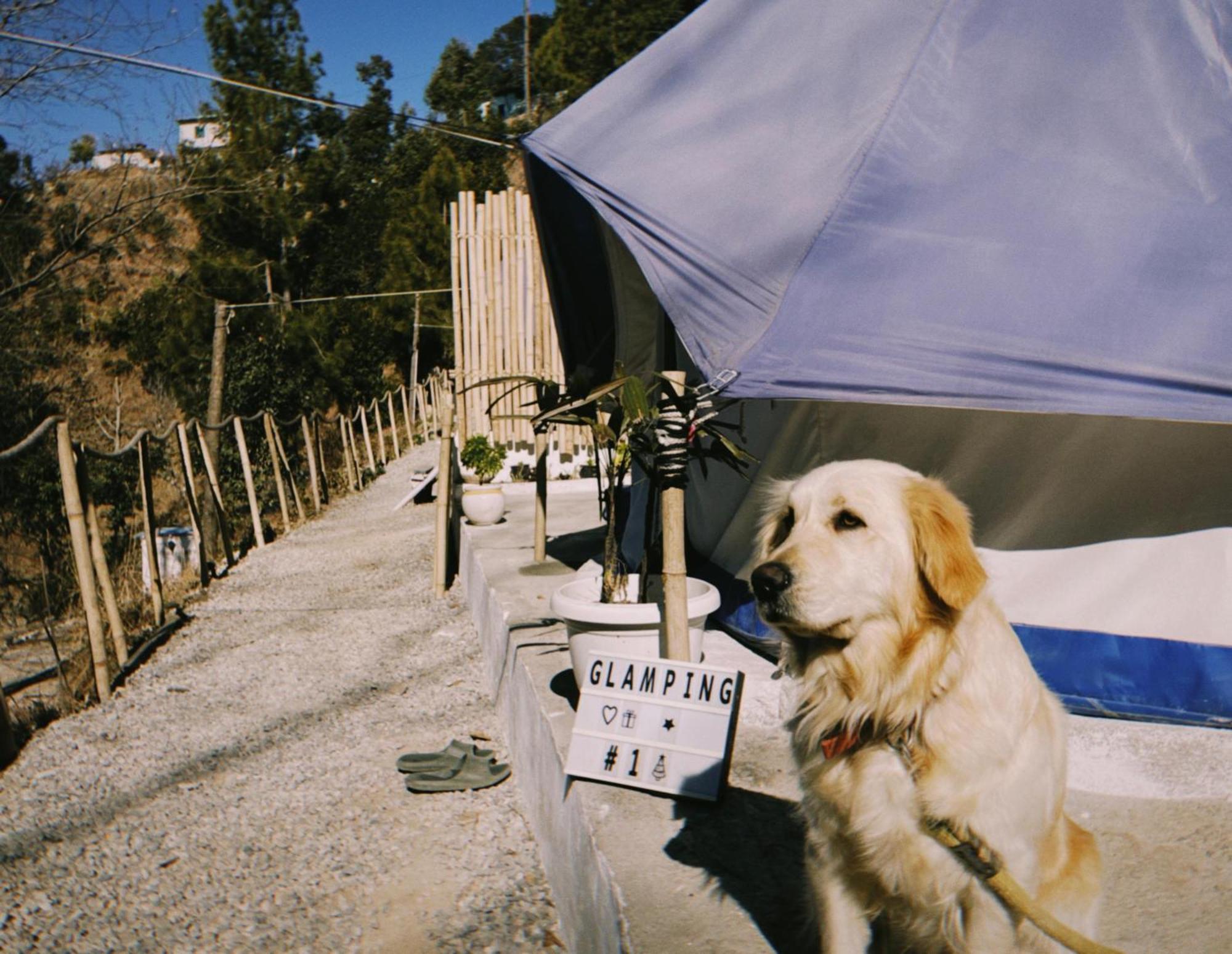 Glamping By The Hulya Farm stay