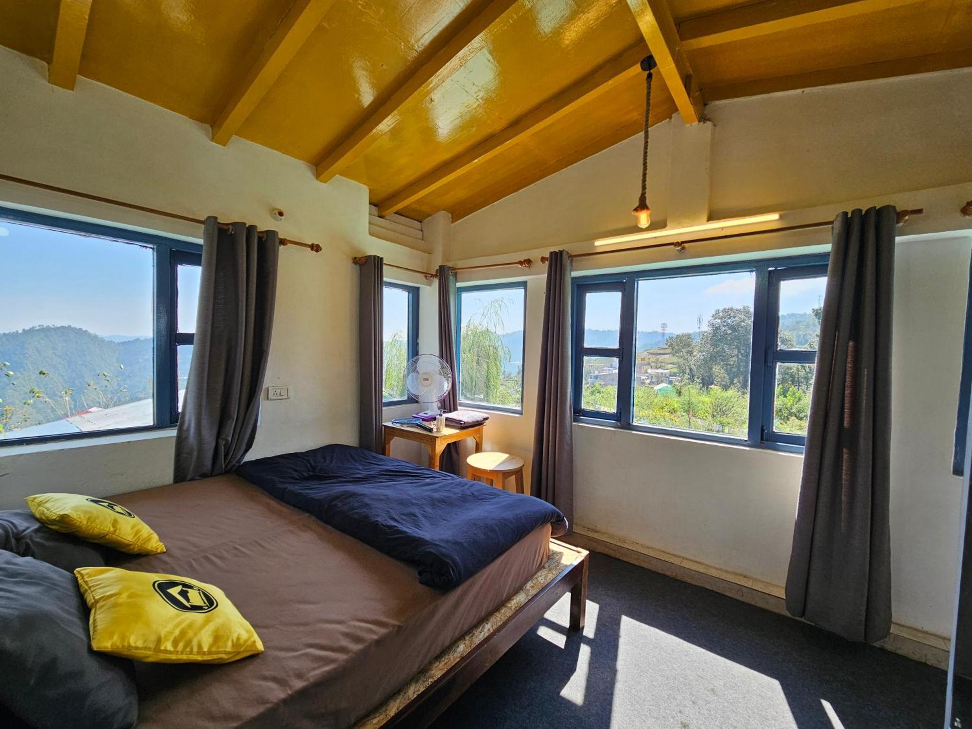 Hostel Lushtree Backpackers - & Cafe *