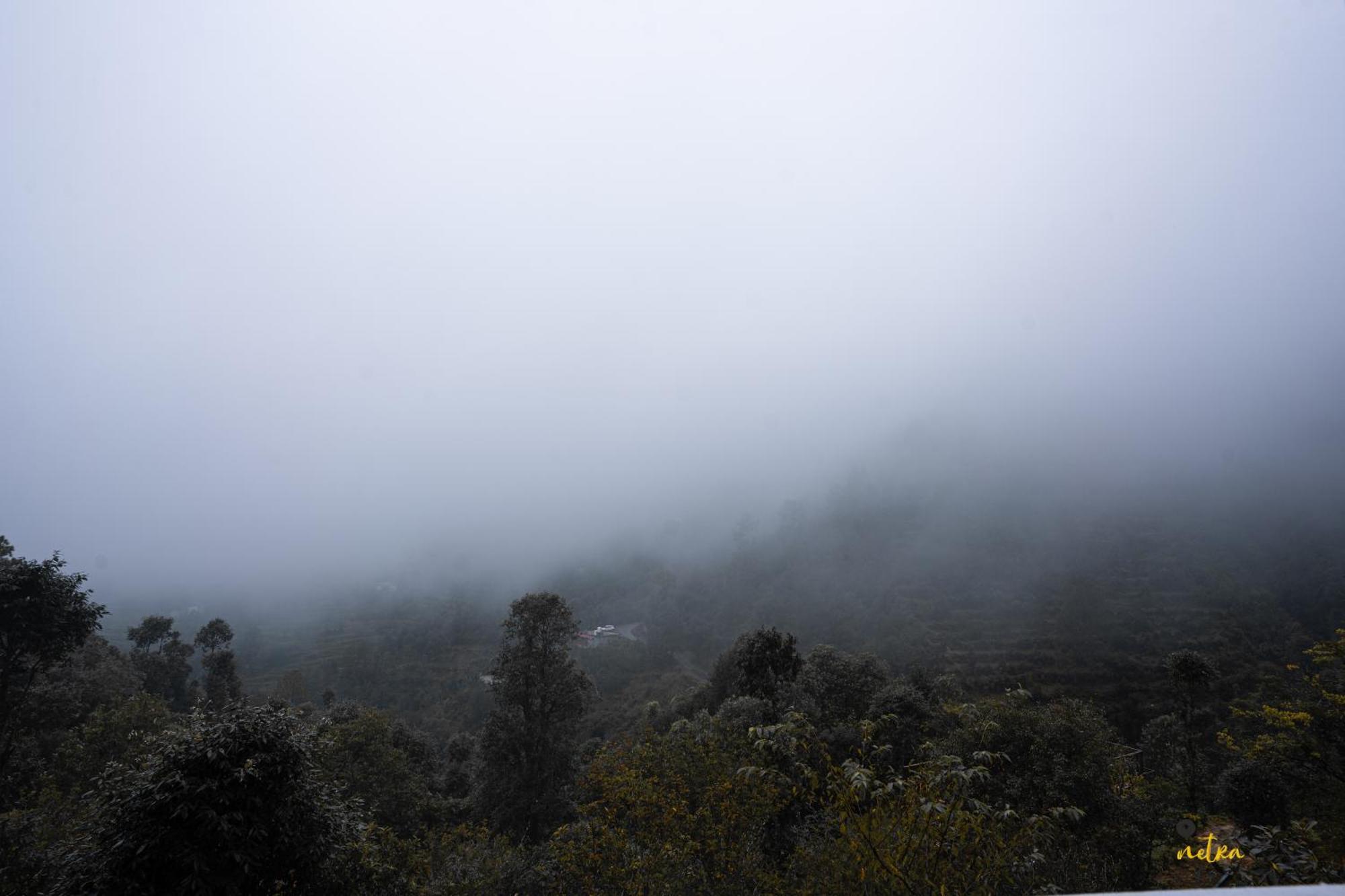 The Rare One's - & Cafe Mukteshwar