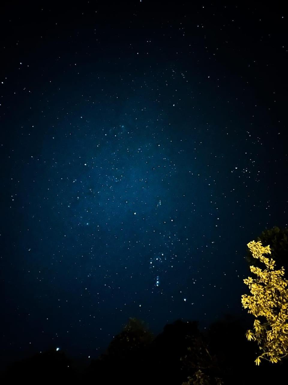 Saanidhya Camps Luxury tent Mukteshwar