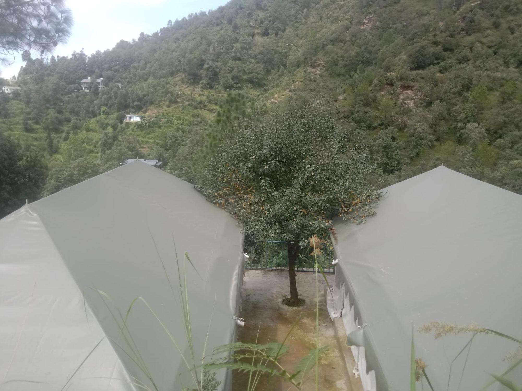 Luxury tent Saanidhya Camps