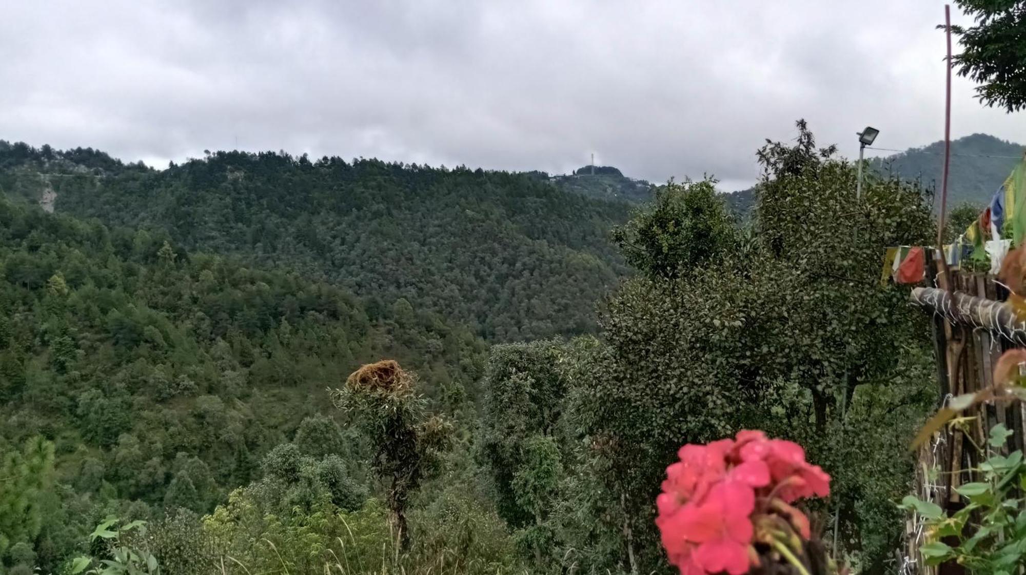 Bunk Chamber Hostel Mukteshwar