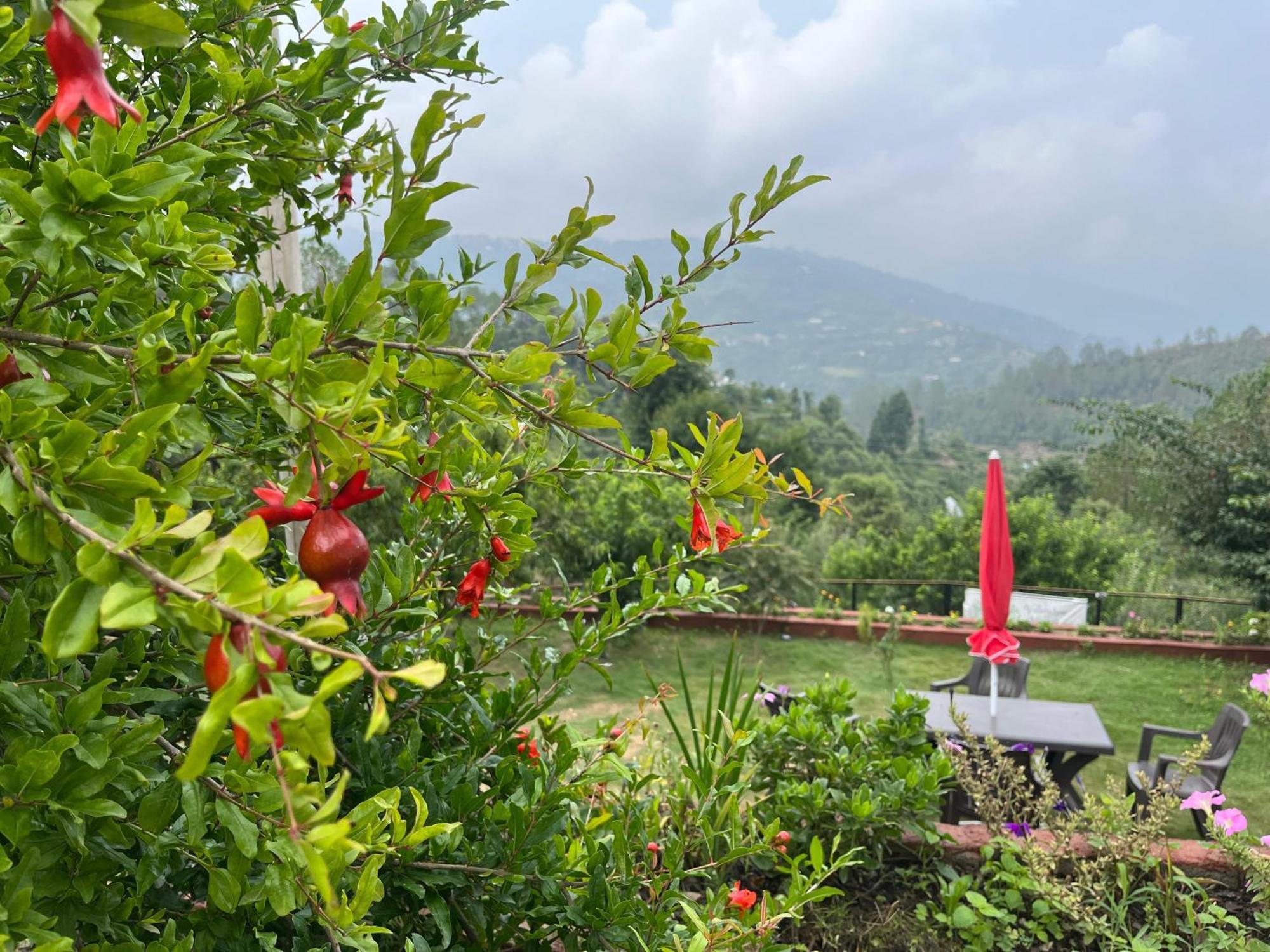 Holiday home Valleyview Mukteshwar