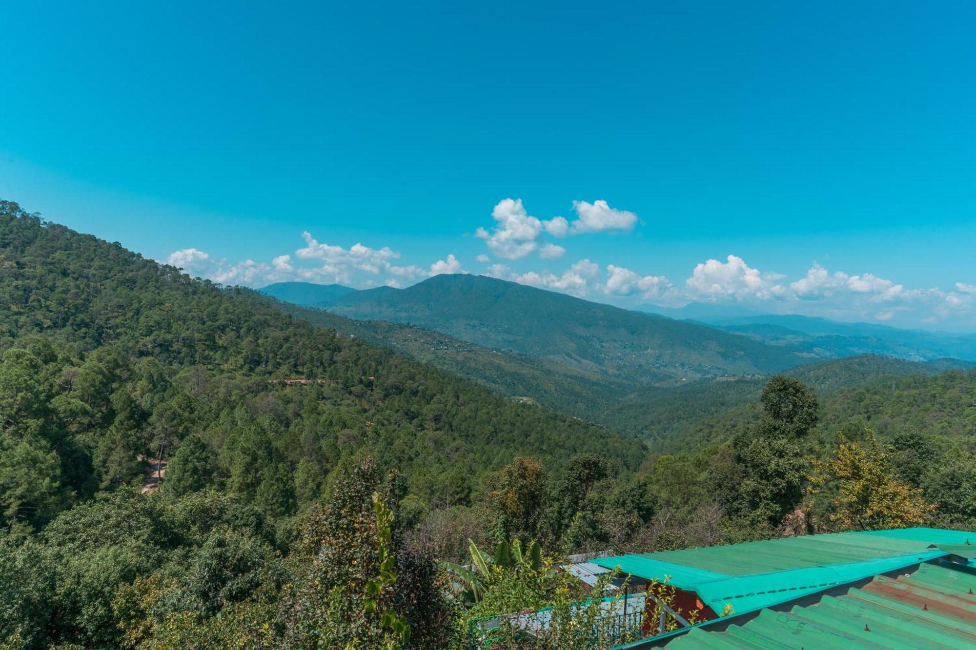 Blue Magpie- Himalayan Experience In Local Living
