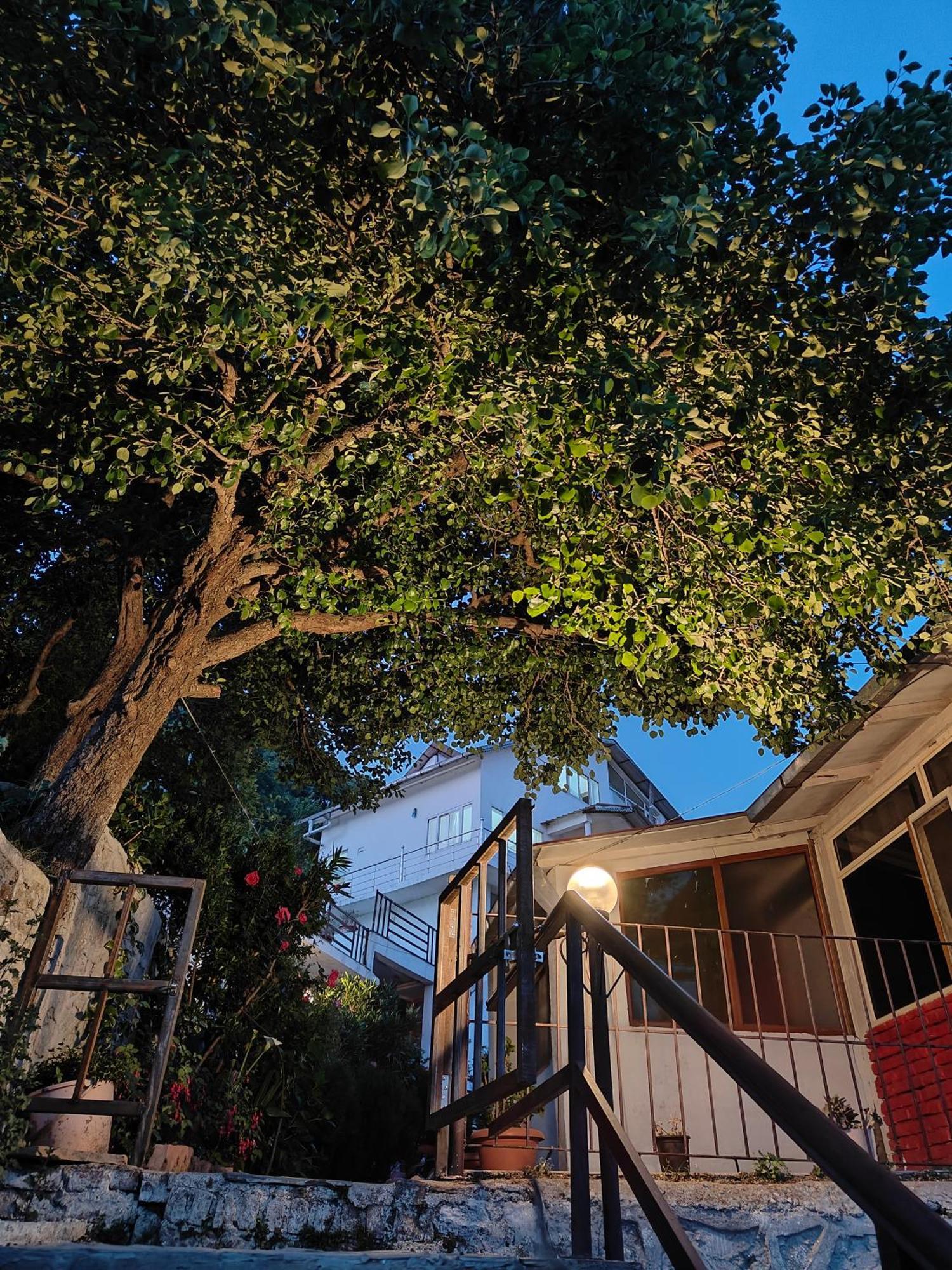 Woodpecker Nest By Lakes & Woods Hotel 4*