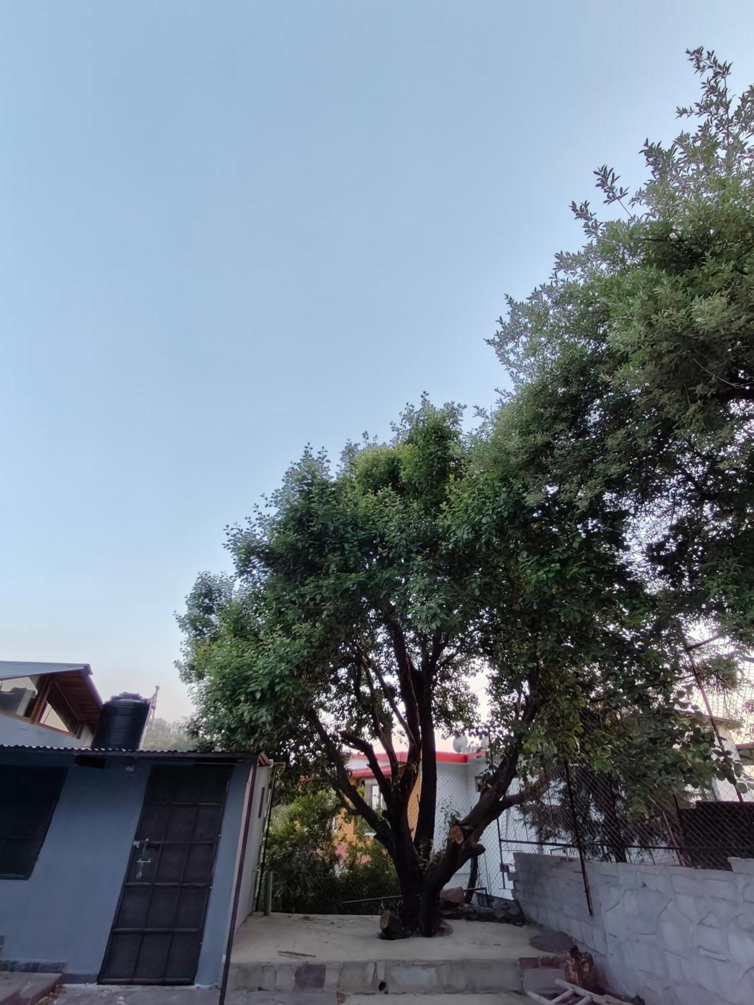 Woodpecker Nest By Lakes & Woods 4* Mukteshwar