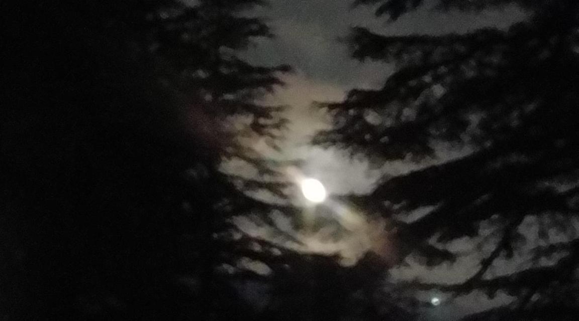 En Route -mukteshwar Hostel
